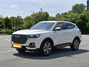 MY2023 Haval H6 China-chic 1.5T AT Champion