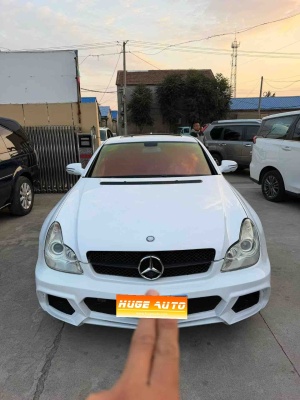 2009款 奔驰CLS级 CLS 300