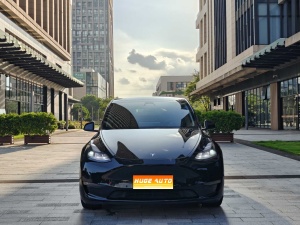 MY2022 Model Y Performance AWD 