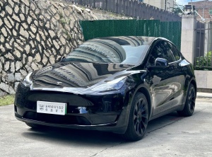 MY2022 Model Y Facelift RWD