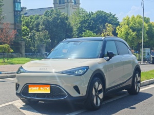 MY2025 smart #1 Black Gold Limited Edition