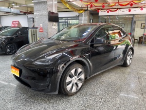 2022款 Model Y 后轮驱动版