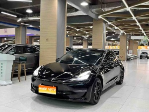 MY2019 Model 3(Imported) Long Range RWD