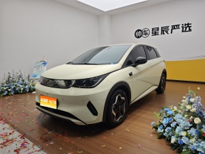 MY2025 Dolphin i-Drive 420km Free