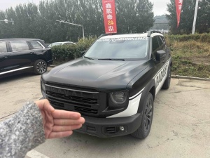 MY2022 Haval Dargo 1.5T DCT 2WD Border Collie