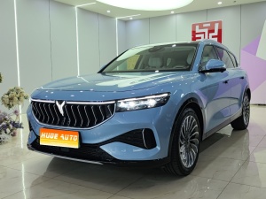 MY2021 VOYAH FREE 4WD Standard REEV Exclusive Luxury Package
