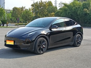 MY2022 Model Y Long Range AWD 