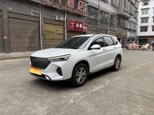 MY2021 Haval M6 PLUS 1.5T DCT Luxury I-connect 