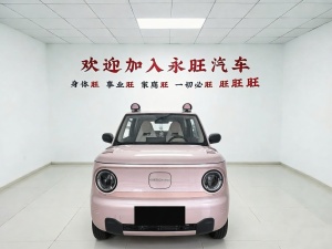 MY2024 Panda mini 200km Endurance