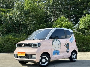 2021款 宏光MINI EV 马卡龙臻享款 磷酸铁锂