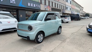 MY2024 Panda mini 200km Endurance