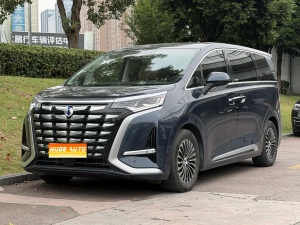 MY2024 DENZA D9 DM-i 1050 Exclusive