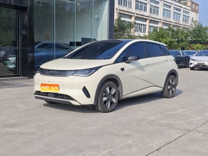 MY2025 Dolphin i-Drive 410km Fashion