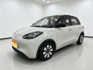 MY2023 Wuling Bingo 333km Enjoy