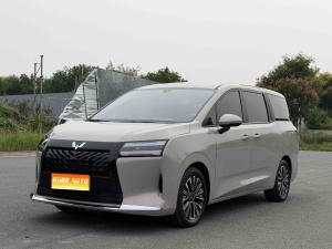 MY2025 Starlight 730 PHEV 125km Luxury