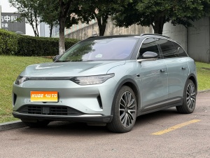 MY2021 Leapmotor C11 Exclusive Version 