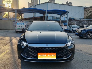 MY2024 Qin PLUS Honor DM-i 55KM Lead