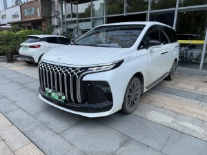 MY2024 Xinghai V9 1.5TD 200km Chinese knots Exclusive