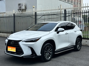 MY2025 Lexus NX 200 FUN