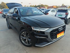 MY2019 Audi Q8 55TFSI Luxury Dynamic Version