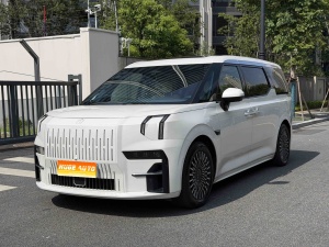 MY2022 ZEEKR 009 ME