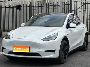 MY2022 Model Y Facelift RWD