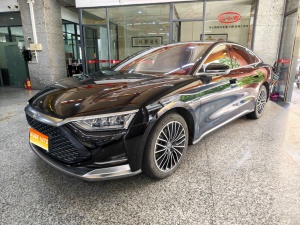 MY2020 Han DM 4WD Performance Luxury