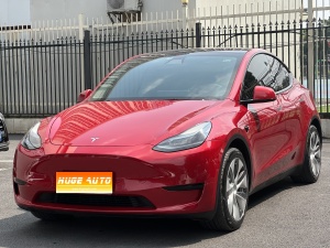 MY2022 Model Y Facelift RWD