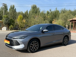 MY2024 Qin L DM-i 120KM Lead