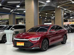 MY2020 Han DM 4WD Performance Distinguished