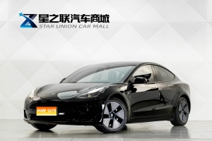 MY2021 Model 3 Standard Range RWD Upgraded 