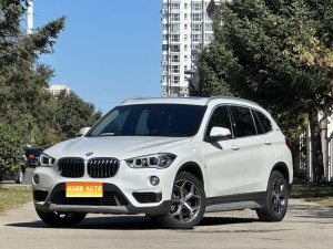 MY2018 BMW X1 NEV xDrive25Le Luxury Version 