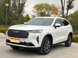 2024款 哈弗H6 1.5T 两驱经典版