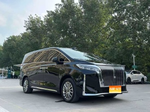 MY2025 WEY Gaoshan 4WD Gaoshan 8