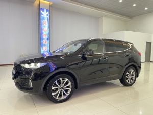 MY2018 WEY VV6 2.0T 4WD Flagship Version National V 