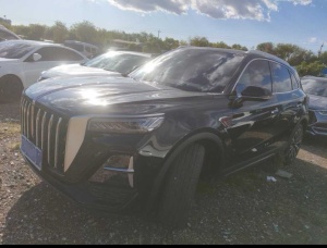 MY2025 Hong Qi HS5 2.0T 4WD Enjoy Pro