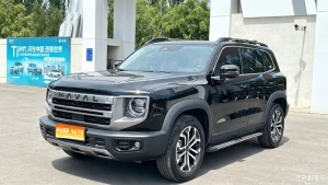MY2024 Haval Dargo 1.5T DCT Border Collie