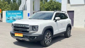 MY2024 Haval Dargo 1.5T DCT Border Collie