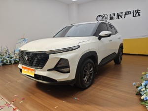 MY2020 Baojun RS-3 1.5L CVT 24h On-line Luxury Version 