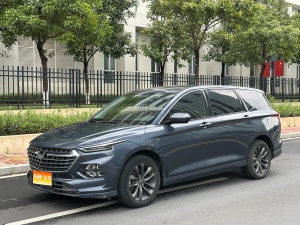 MY2022 Wuling Victory 1.5T CVT Distinguished Version