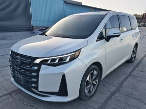 MY2021 Trumpchi M6 PRO 270T AT Exclusive