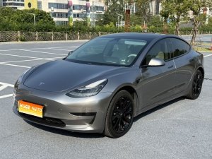 MY2020 Model 3 Standard Range RWD Upgraded 
