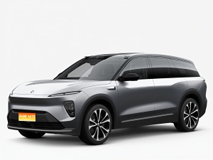 2024款 蔚来ES8 100kWh 签名版
