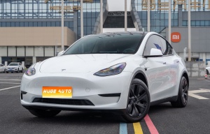 MY2024 Model Y RWD
