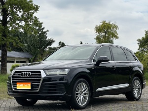 2019款 奥迪Q7 55 TFSI 技术型