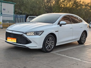 MY2024 Qin PLUS Honor DM-i 120KM Exceed