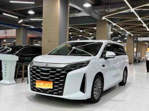 MY2025 Xia DM-i 1.5T 180km Exceed