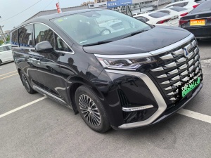 MY2024 DENZA D9 DM-i 980 4WD Distinguished