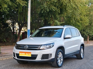 MY2016 Tiguan 280TSI AT 2WD Silk Road Fashion Version 