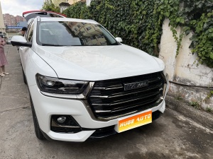 MY2021 Haval H6 China-chic 1.5T AT Champion Version 
